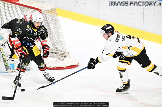 2025-01-25 Mastini Varese-Hockey Feltre 2982 Dylan Ghiglione